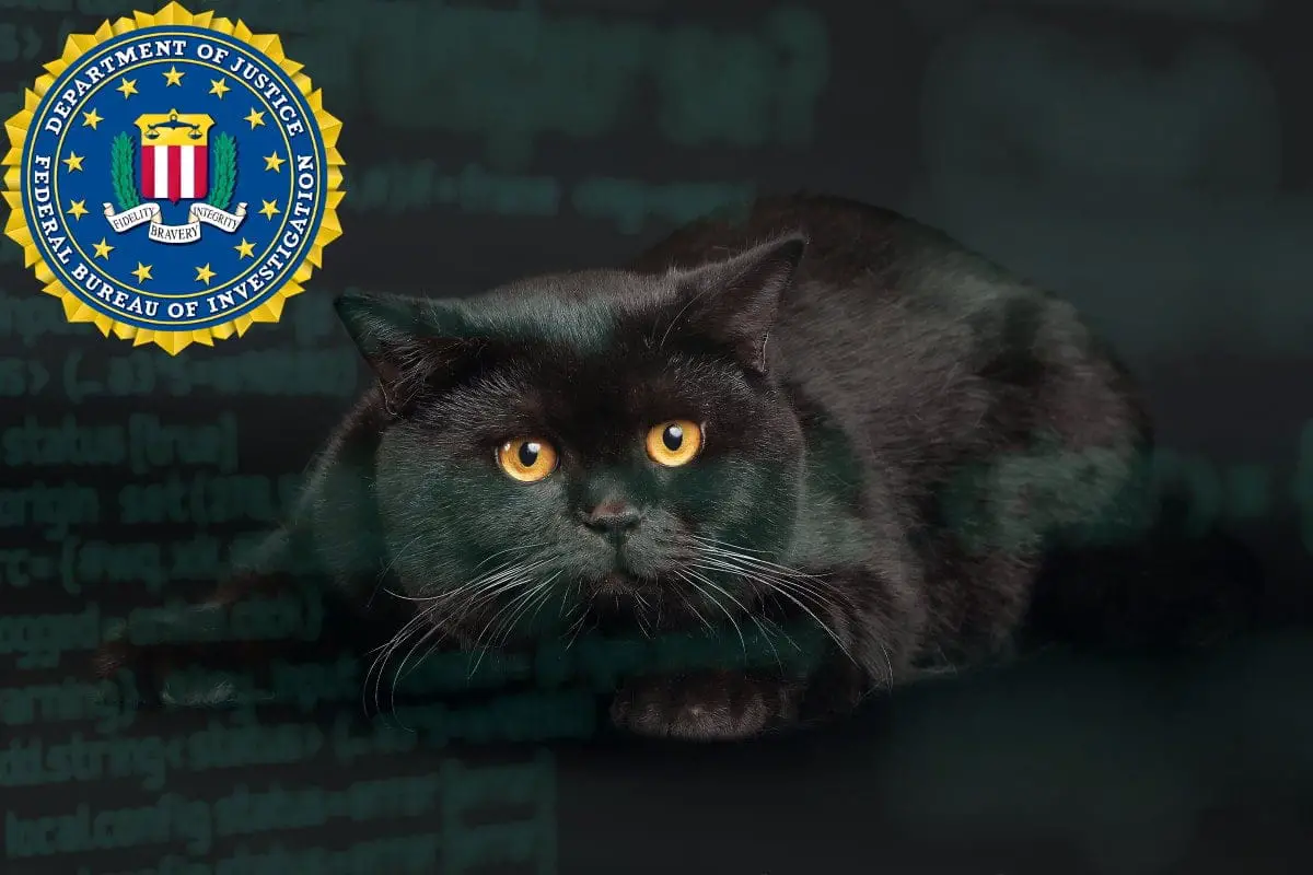 BlackCat/ALPHV: A New Age Ransomware Threat
